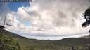 ./images/calvert/fitz-hugh-hecate/20260529/fitz-hugh-hecate20260529_103001M.jpg