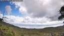 ./images/calvert/fitz-hugh-hecate/20260529/fitz-hugh-hecate20260529_104502M.jpg