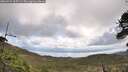./images/calvert/fitz-hugh-hecate/20260529/fitz-hugh-hecate20260529_105501M.jpg