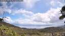 ./images/calvert/fitz-hugh-hecate/20260529/fitz-hugh-hecate20260529_110501M.jpg