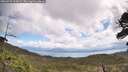 ./images/calvert/fitz-hugh-hecate/20260529/fitz-hugh-hecate20260529_115002M.jpg