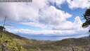 ./images/calvert/fitz-hugh-hecate/20260529/fitz-hugh-hecate20260529_121002M.jpg