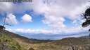 ./images/calvert/fitz-hugh-hecate/20260529/fitz-hugh-hecate20260529_133001M.jpg