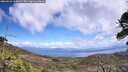 ./images/calvert/fitz-hugh-hecate/20260529/fitz-hugh-hecate20260529_135001M.jpg