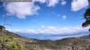./images/calvert/fitz-hugh-hecate/20260529/fitz-hugh-hecate20260529_142002M.jpg