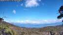 ./images/calvert/fitz-hugh-hecate/20260529/fitz-hugh-hecate20260529_150501M.jpg
