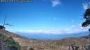 ./images/calvert/fitz-hugh-hecate/20260529/fitz-hugh-hecate20260529_163501M.jpg