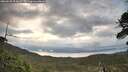 ./images/calvert/fitz-hugh-hecate/20260530/fitz-hugh-hecate20260530_054001M.jpg