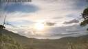 ./images/calvert/fitz-hugh-hecate/20260530/fitz-hugh-hecate20260530_063501M.jpg
