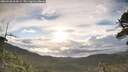 ./images/calvert/fitz-hugh-hecate/20260530/fitz-hugh-hecate20260530_064501M.jpg