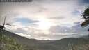 ./images/calvert/fitz-hugh-hecate/20260530/fitz-hugh-hecate20260530_065501M.jpg