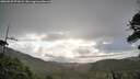 ./images/calvert/fitz-hugh-hecate/20260530/fitz-hugh-hecate20260530_071002M.jpg