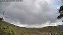 ./images/calvert/fitz-hugh-hecate/20260530/fitz-hugh-hecate20260530_072501M.jpg