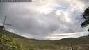 ./images/calvert/fitz-hugh-hecate/20260530/fitz-hugh-hecate20260530_073001M.jpg