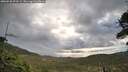 ./images/calvert/fitz-hugh-hecate/20260530/fitz-hugh-hecate20260530_073501M.jpg