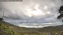 ./images/calvert/fitz-hugh-hecate/20260530/fitz-hugh-hecate20260530_080001M.jpg