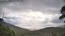 ./images/calvert/fitz-hugh-hecate/20260530/fitz-hugh-hecate20260530_081501M.jpg