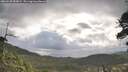 ./images/calvert/fitz-hugh-hecate/20260530/fitz-hugh-hecate20260530_083001M.jpg