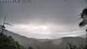 ./images/calvert/fitz-hugh-hecate/20260530/fitz-hugh-hecate20260530_084002M.jpg