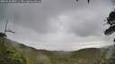 ./images/calvert/fitz-hugh-hecate/20260530/fitz-hugh-hecate20260530_085501M.jpg