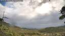 ./images/calvert/fitz-hugh-hecate/20260530/fitz-hugh-hecate20260530_090501M.jpg