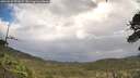 ./images/calvert/fitz-hugh-hecate/20260530/fitz-hugh-hecate20260530_091001M.jpg