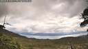./images/calvert/fitz-hugh-hecate/20260530/fitz-hugh-hecate20260530_100501M.jpg