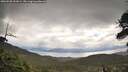 ./images/calvert/fitz-hugh-hecate/20260530/fitz-hugh-hecate20260530_101001M.jpg