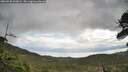 ./images/calvert/fitz-hugh-hecate/20260530/fitz-hugh-hecate20260530_102001M.jpg