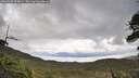 ./images/calvert/fitz-hugh-hecate/20260530/fitz-hugh-hecate20260530_104001M.jpg