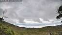 ./images/calvert/fitz-hugh-hecate/20260530/fitz-hugh-hecate20260530_104501M.jpg