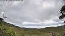./images/calvert/fitz-hugh-hecate/20260530/fitz-hugh-hecate20260530_105001M.jpg