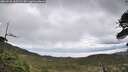 ./images/calvert/fitz-hugh-hecate/20260530/fitz-hugh-hecate20260530_105501M.jpg