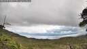 ./images/calvert/fitz-hugh-hecate/20260530/fitz-hugh-hecate20260530_111001M.jpg
