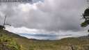 ./images/calvert/fitz-hugh-hecate/20260530/fitz-hugh-hecate20260530_112001M.jpg