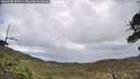 ./images/calvert/fitz-hugh-hecate/20260530/fitz-hugh-hecate20260530_113501M.jpg