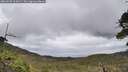 ./images/calvert/fitz-hugh-hecate/20260530/fitz-hugh-hecate20260530_114501M.jpg