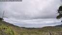 ./images/calvert/fitz-hugh-hecate/20260530/fitz-hugh-hecate20260530_115001M.jpg