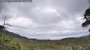 ./images/calvert/fitz-hugh-hecate/20260530/fitz-hugh-hecate20260530_120001M.jpg