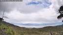 ./images/calvert/fitz-hugh-hecate/20260530/fitz-hugh-hecate20260530_122002M.jpg