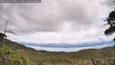 ./images/calvert/fitz-hugh-hecate/20260530/fitz-hugh-hecate20260530_125001M.jpg