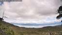 ./images/calvert/fitz-hugh-hecate/20260530/fitz-hugh-hecate20260530_131501M.jpg