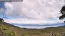 ./images/calvert/fitz-hugh-hecate/20260530/fitz-hugh-hecate20260530_133001M.jpg