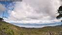 ./images/calvert/fitz-hugh-hecate/20260530/fitz-hugh-hecate20260530_140001M.jpg