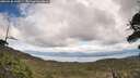 ./images/calvert/fitz-hugh-hecate/20260530/fitz-hugh-hecate20260530_140501M.jpg