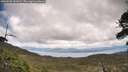 ./images/calvert/fitz-hugh-hecate/20260530/fitz-hugh-hecate20260530_141002M.jpg