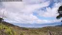 ./images/calvert/fitz-hugh-hecate/20260530/fitz-hugh-hecate20260530_143502M.jpg