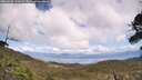 ./images/calvert/fitz-hugh-hecate/20260530/fitz-hugh-hecate20260530_145002M.jpg
