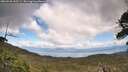 ./images/calvert/fitz-hugh-hecate/20260530/fitz-hugh-hecate20260530_145501M.jpg