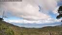 ./images/calvert/fitz-hugh-hecate/20260530/fitz-hugh-hecate20260530_150501M.jpg